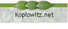 Koplowitz.net